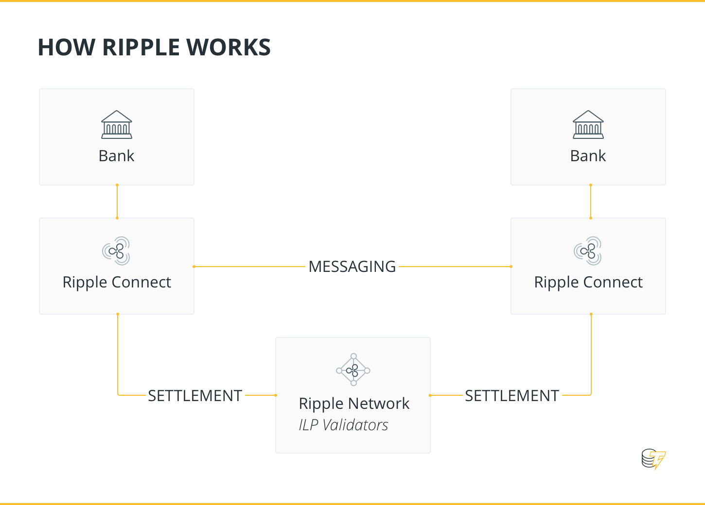 HOW RIPPLE WORKS