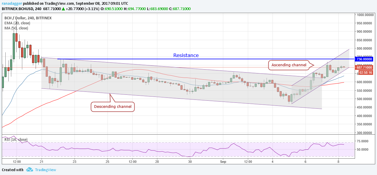 BCH/Dollar