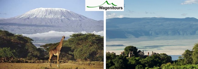 Wageni Tours