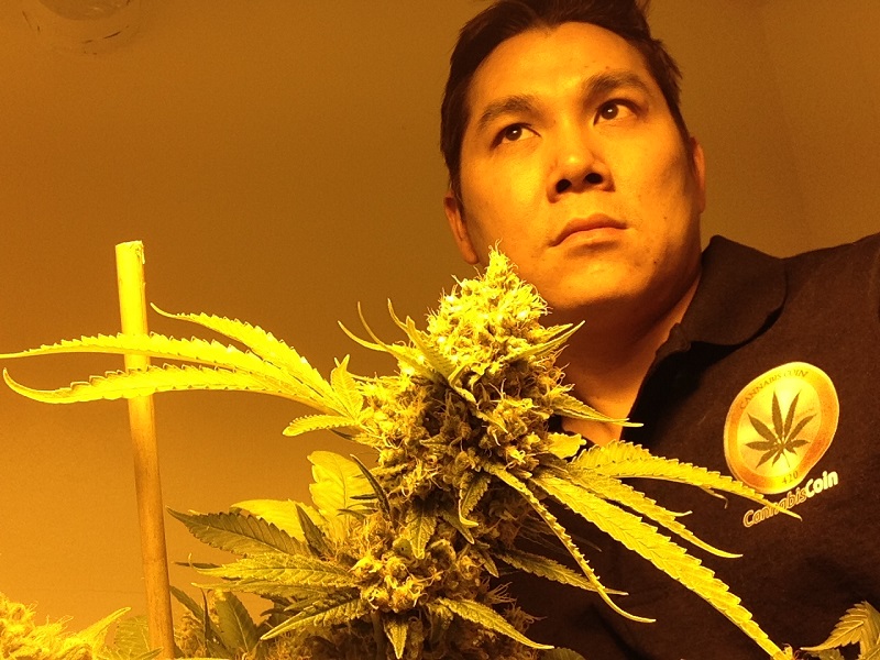 CannabisCoin Founder